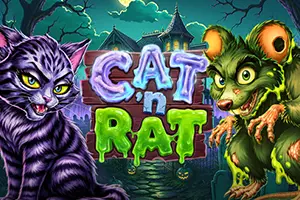 Cat n Rat